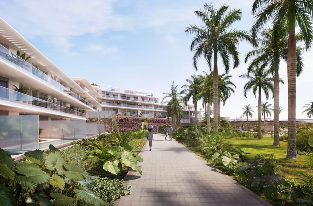 Solum Tenerife - Image 3