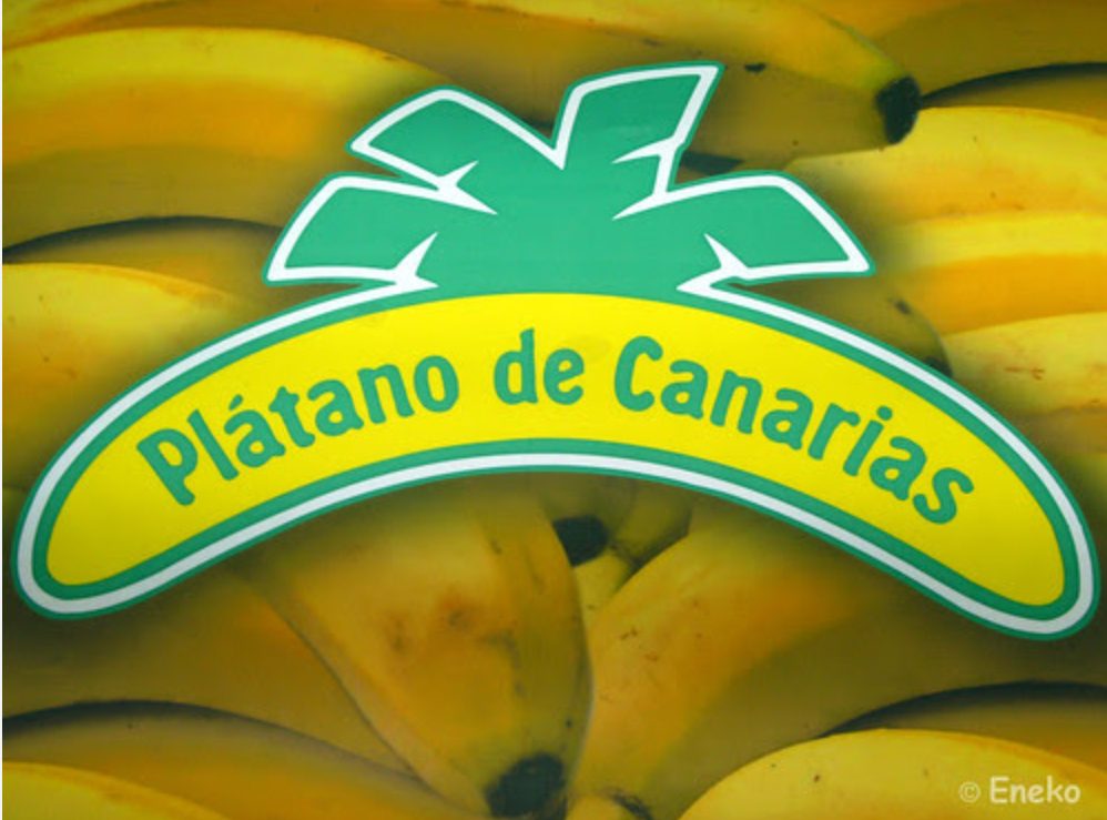 Banánová plantáž na Tenerife